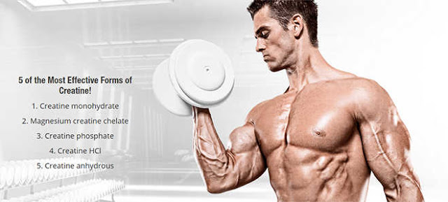 Information on Creatine Supplements Information on Creatine Supplements